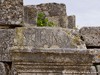 Tunisia Dougga Picture