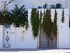 Tunisia Marsa Picture