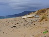 Tunisia Nefza Picture
