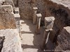 Tunisia Regia Picture