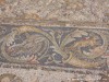 Tunisia Regia Picture