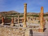 Tunisia Regia Picture