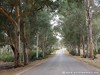 Tunisia Serrat Picture