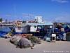 Tunisia Tabarca Picture