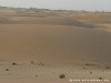 United Arab Emirates Desert Picture