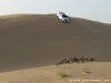 United Arab Emirates Desert Picture