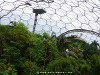 United Kingdom Eden Project Picture