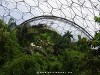 United Kingdom Eden Project Picture