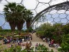 United Kingdom Eden Project Picture