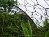 United Kingdom Eden Project Picture