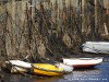 United Kingdom Mevagissey Picture