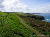 United Kingdom Newquay Picture