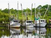 Usa Apalachicola Picture