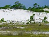 Usa Apalachicola Picture