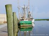 Usa Apalachicola Picture