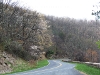 USA Blue Ridge Parkway Picture