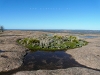 USA Enchanted Rock Picture