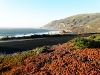 USA Pacific Coast Picture