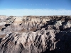 USA Petrified Forest Picture