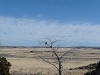 USA Petrified Forest Picture