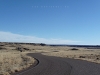 USA Petrified Forest Picture