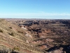 USA Petrified Forest Picture