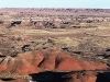 USA Petrified Forest Picture