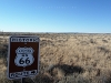 USA Petrified Forest Picture