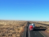 USA Petrified Forest Picture