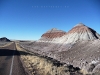 USA Petrified Forest Picture