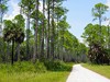 Usa Suwannee Picture