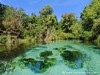 Usa Weekiwachee Picture