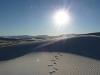 USA White Sands Picture