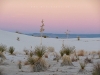 USA White Sands Picture