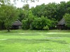 Zambia Luangwa Picture