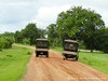 Zambia Luangwa Picture