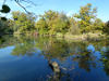 Germany - Linkenheim Rheinauen - Mirror Lake