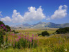 Italy - Abruzzen - Campo Imperatore