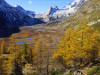 Italy - Val Veny - Autumn