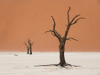 Namibia - Dead Vlei - Ghosts