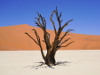 Namibia - Dead Vlei - Shadow